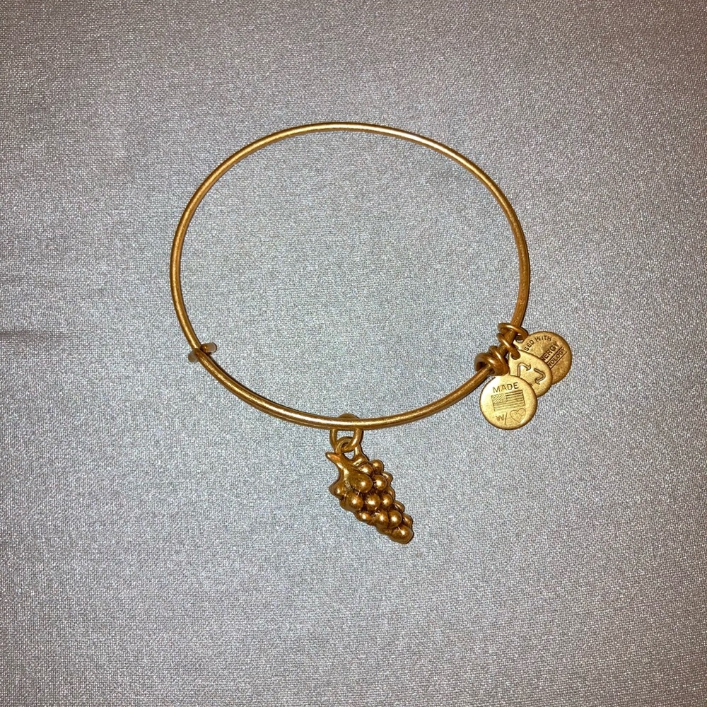 Alex and Ani Grapes charm bangle gold
